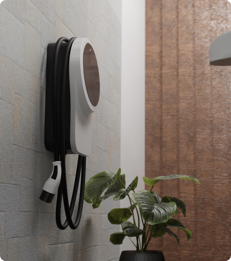 Potted plant sitting next to a wall with a black and white electric plug attached to it